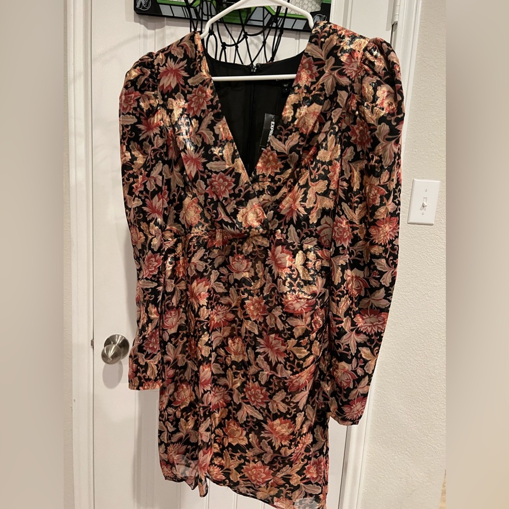 Express Short Dress